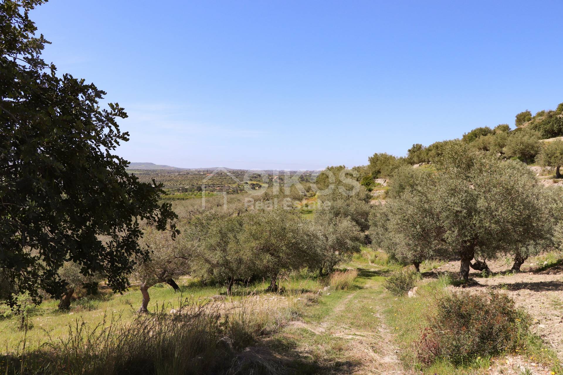 Terreno Agricolo in vendita a Noto, Tre Maiali