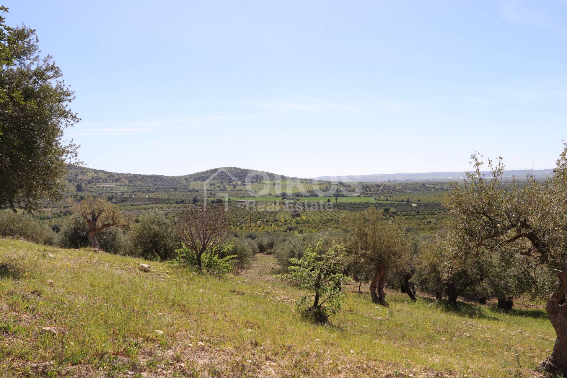 Terreno Agricolo in vendita a Noto, Tre Maiali