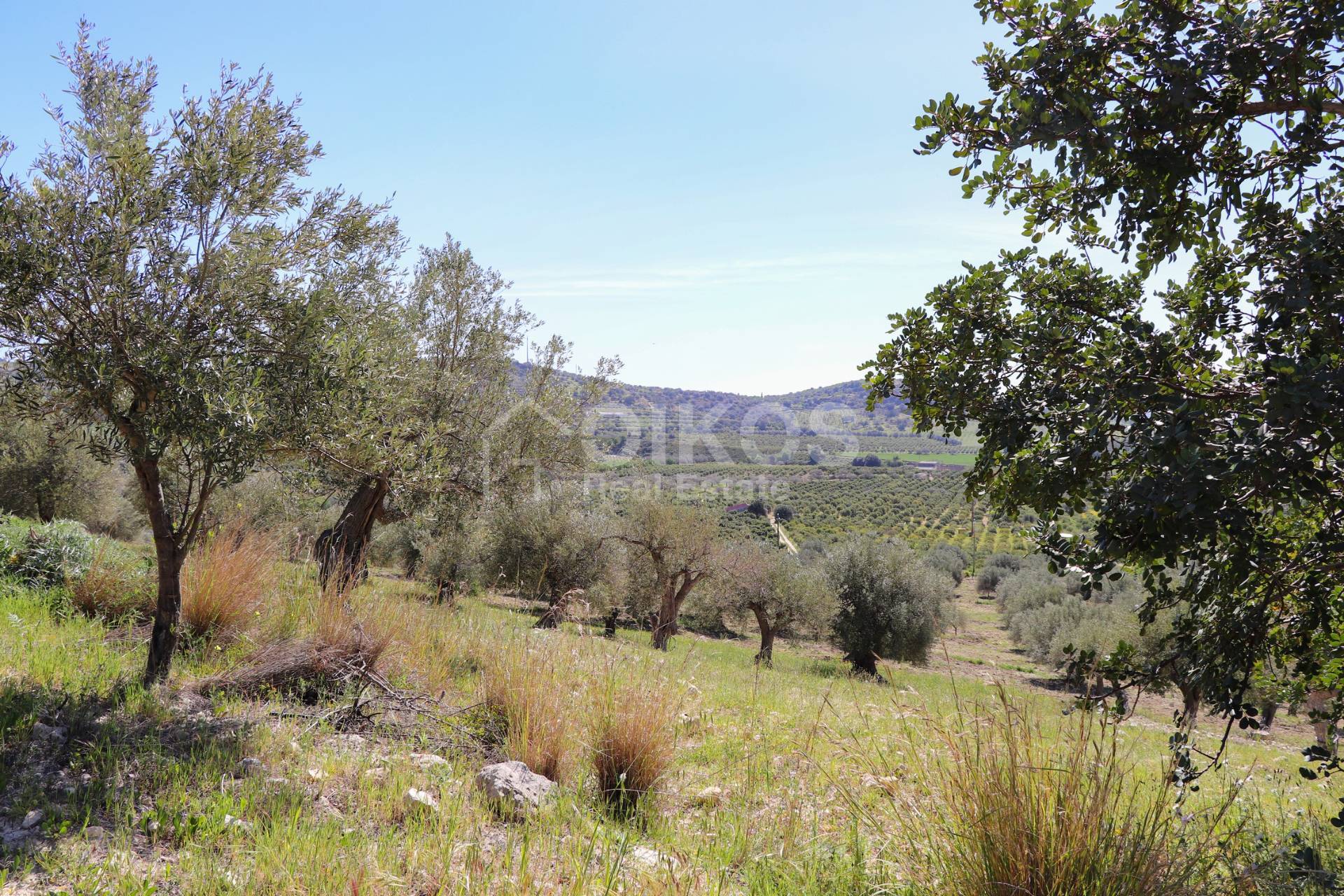 Terreno Agricolo in vendita a Noto, Tre Maiali