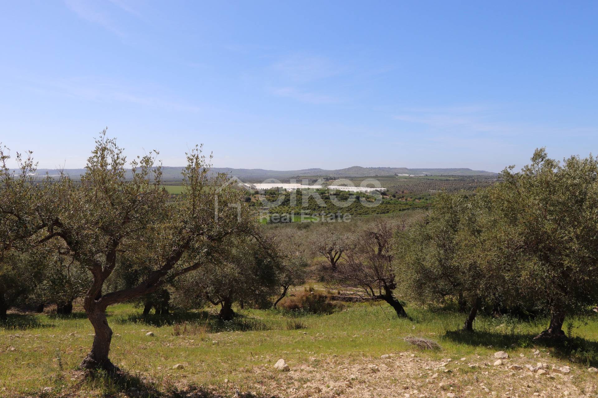 Terreno Agricolo in vendita a Noto, Tre Maiali