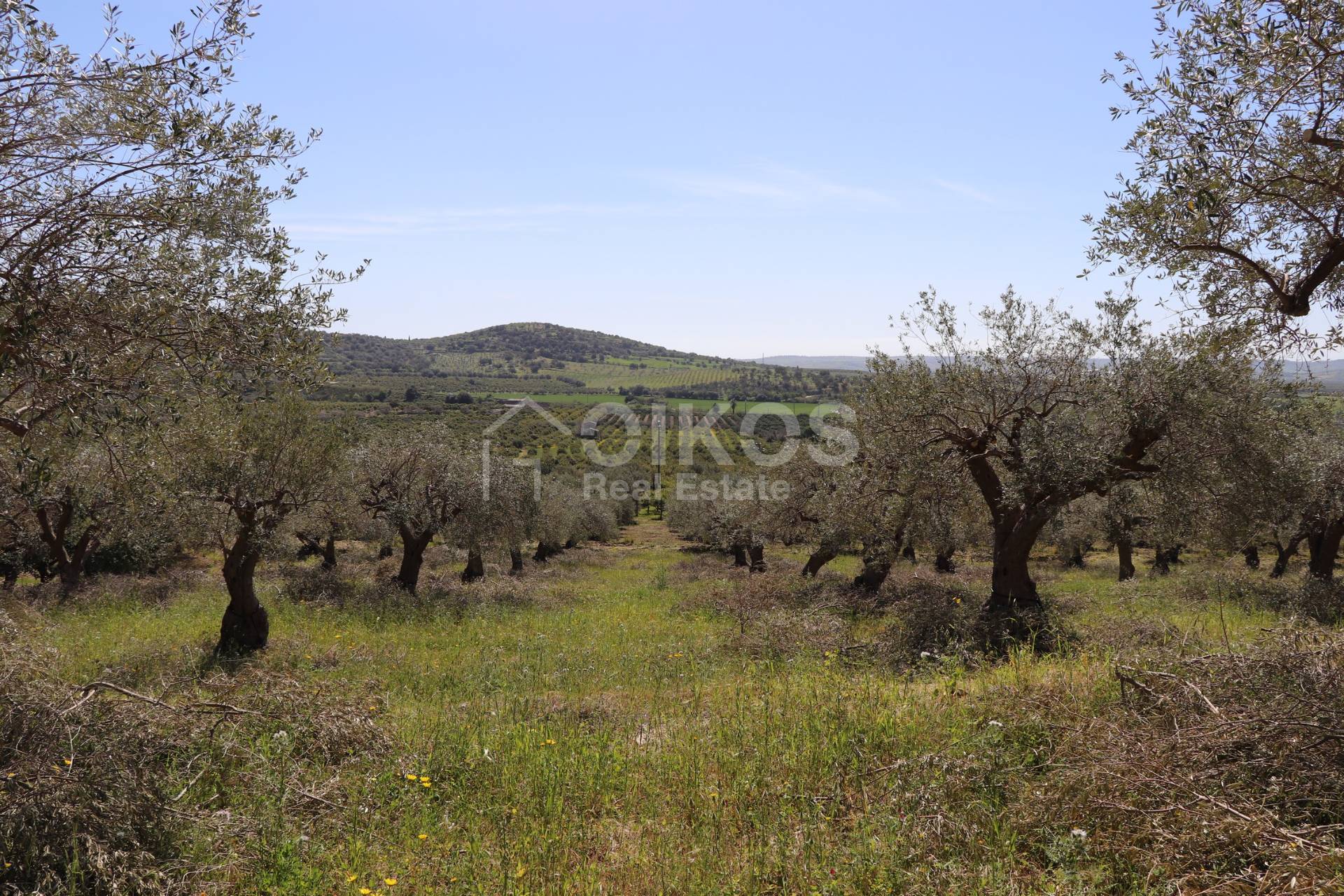 Terreno Agricolo in vendita a Noto, Tre Maiali