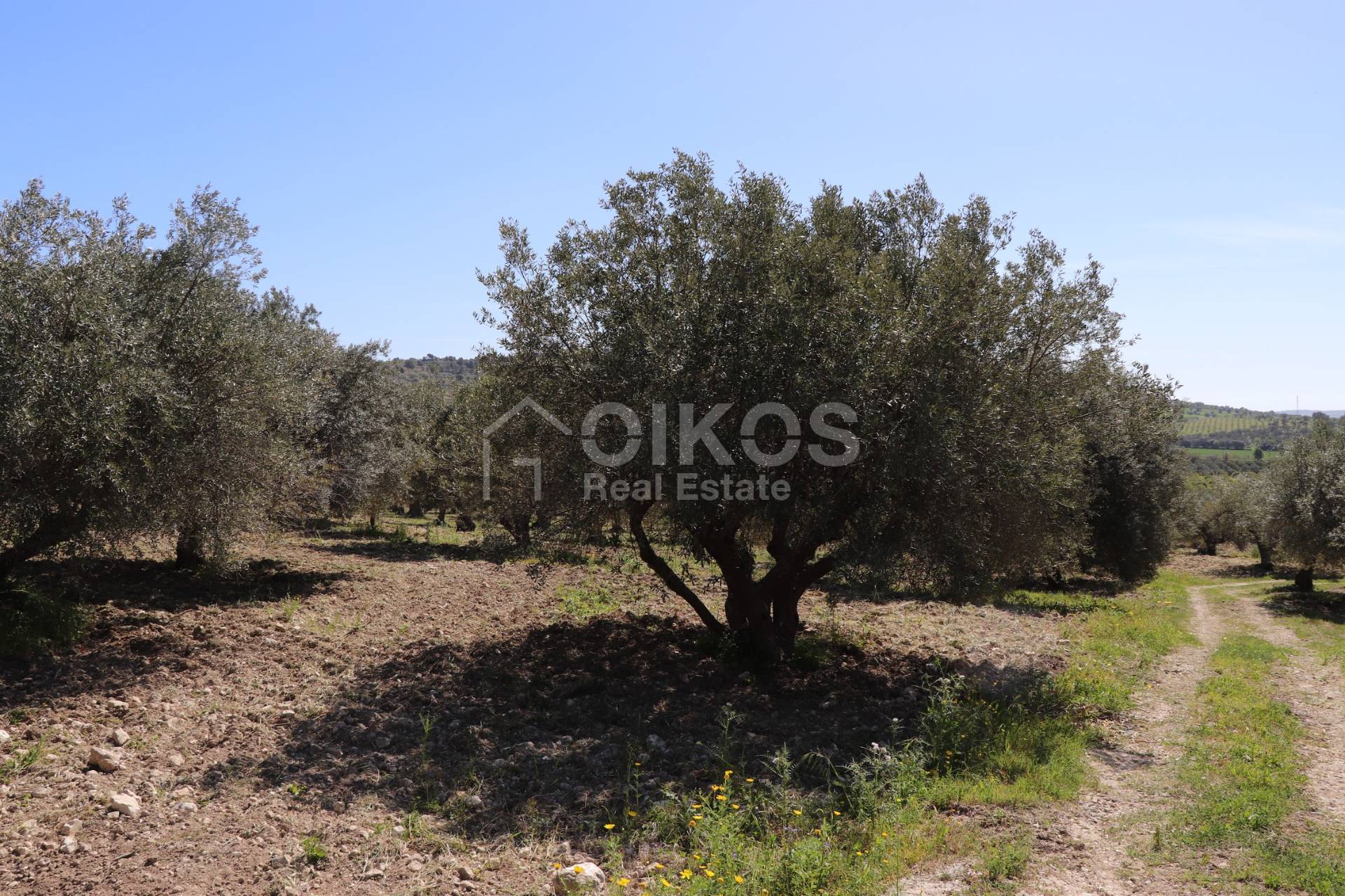 Terreno Agricolo in vendita a Noto, Tre Maiali