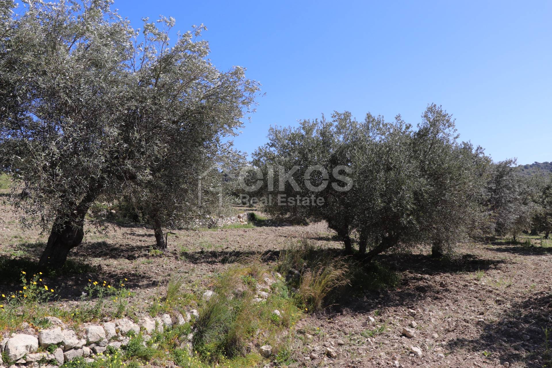 Terreno Agricolo in vendita a Noto, Tre Maiali