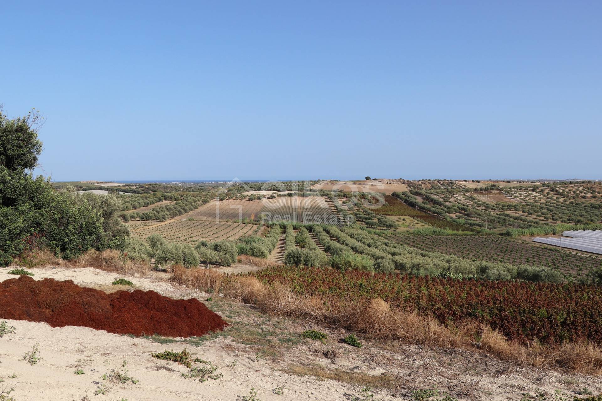 Terreno Agricolo in vendita a Noto, Colline Del Val Di Noto