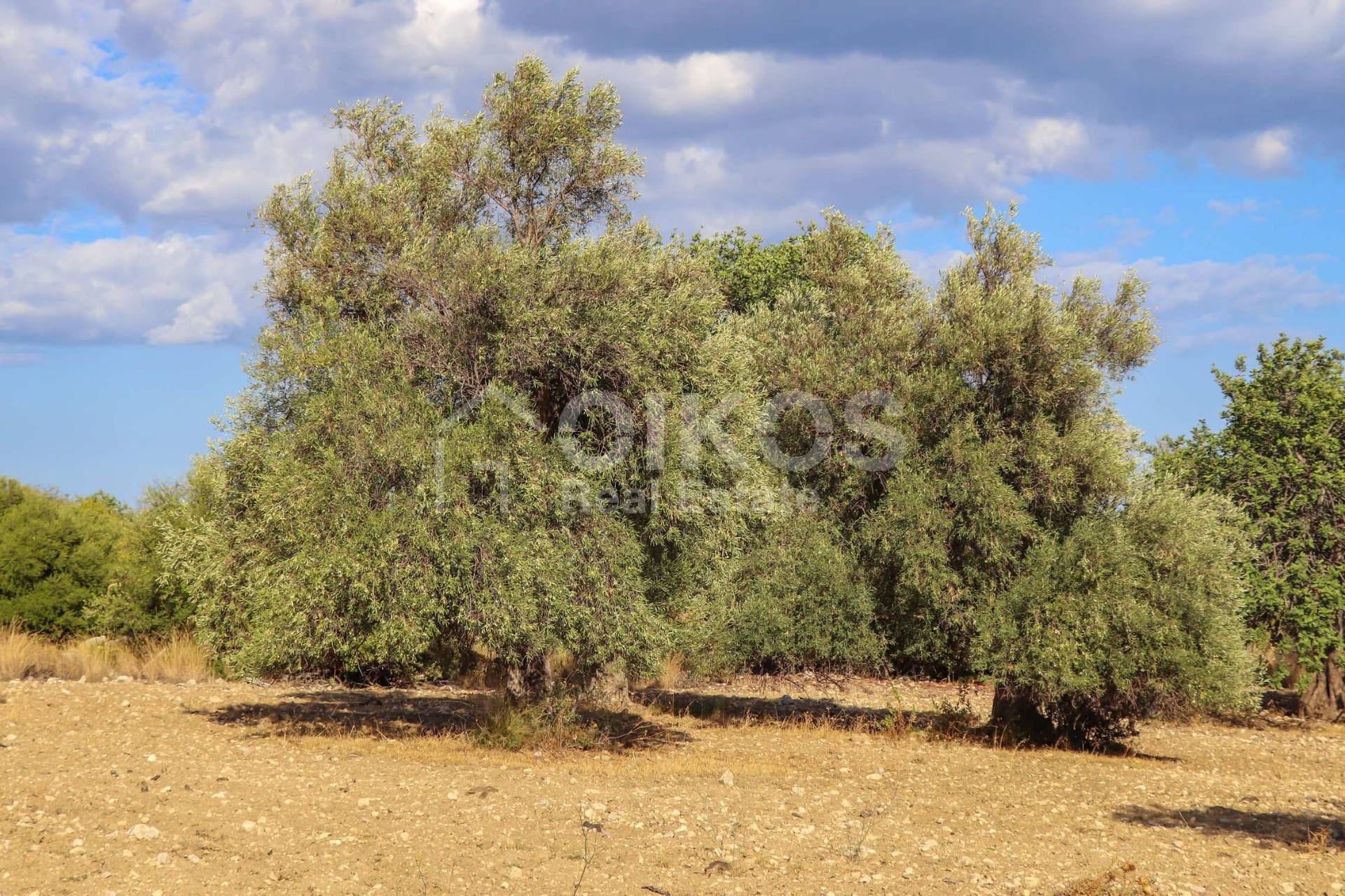 Terreno e casale in vendita a Avola, Bochini
