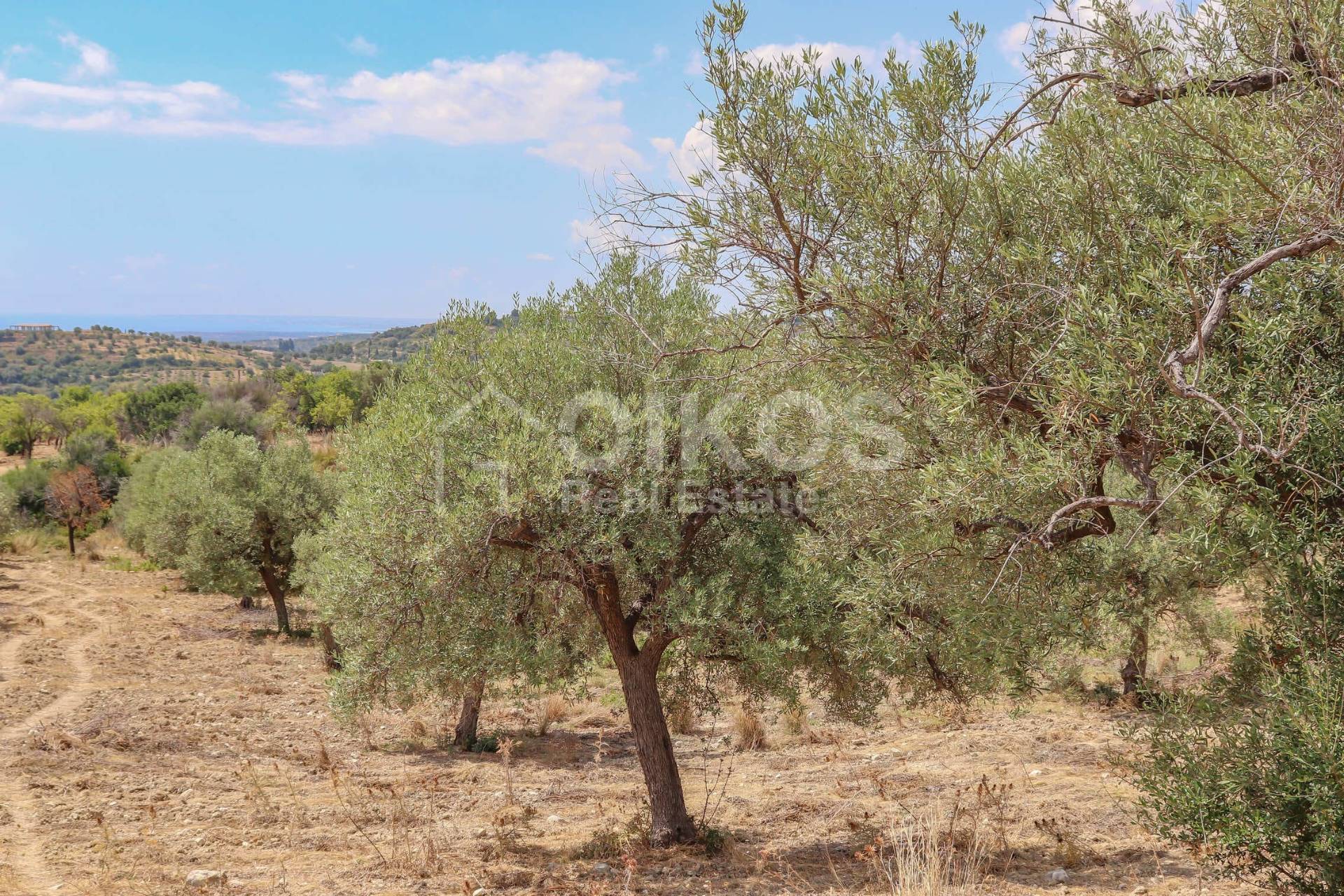 Terreno Agricolo in vendita a Avola, Bochini