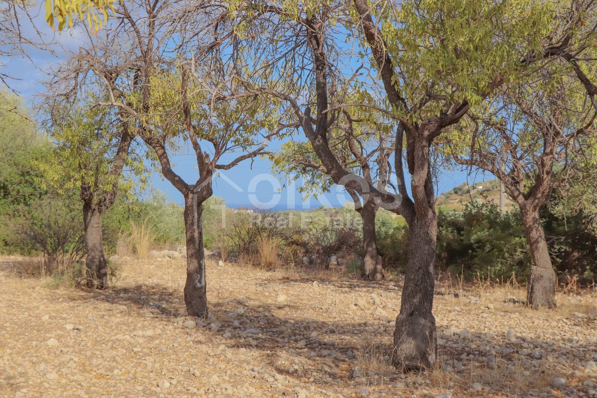 Terreno Agricolo in vendita a Avola, Bochini