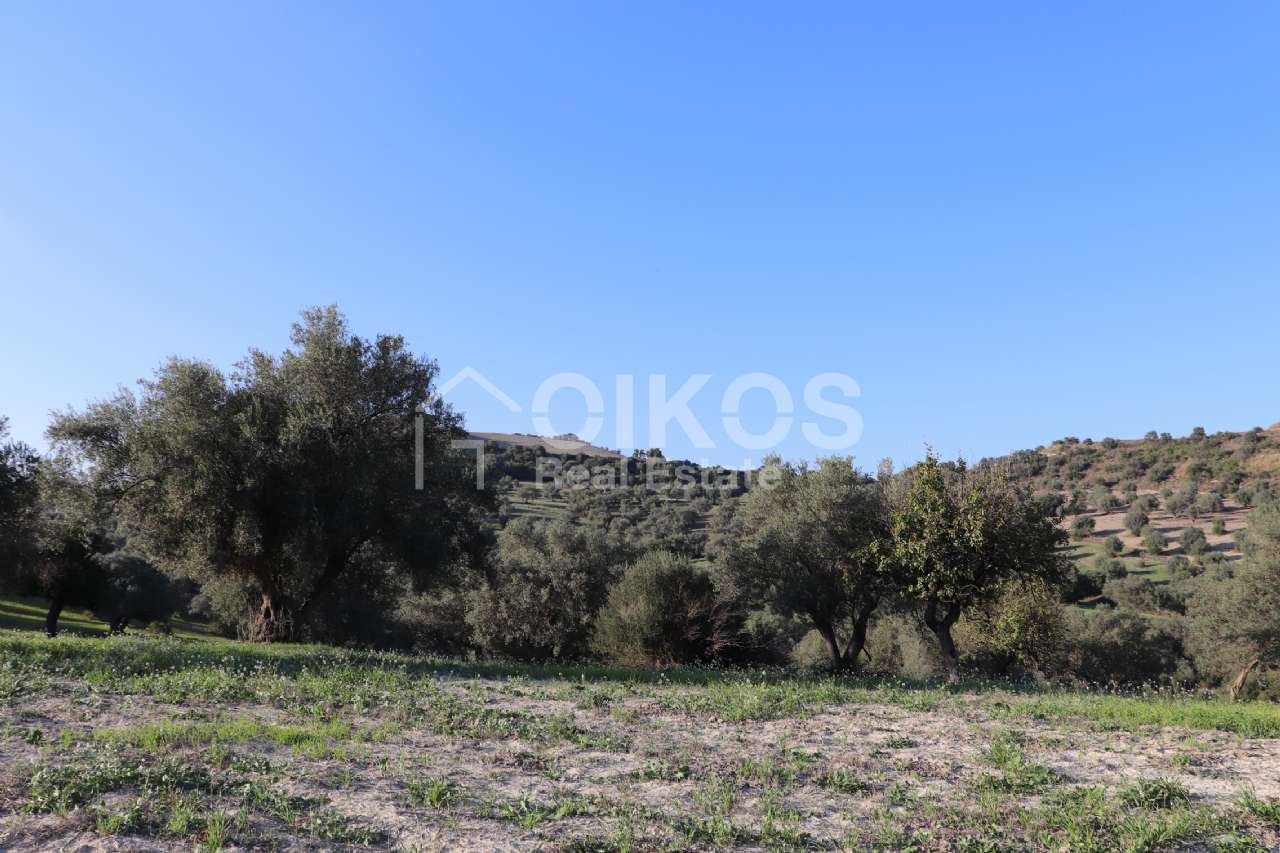 Terreno residenziale in vendita a Rosolini, San Giacomo