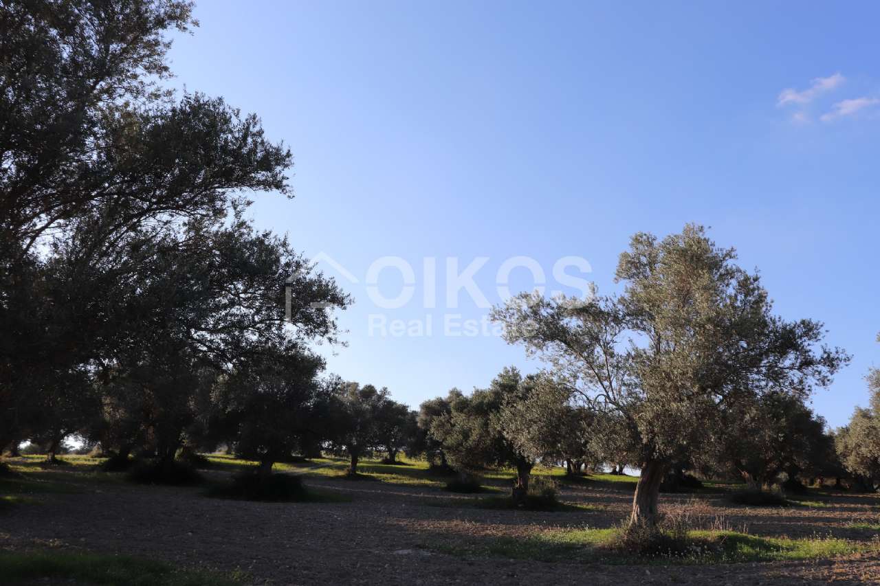 Terreno residenziale in vendita a Rosolini, San Giacomo