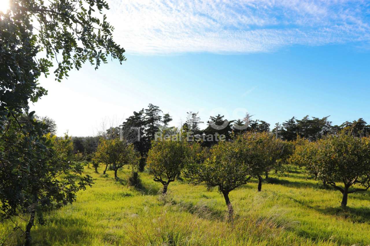 Terreno Agricolo in vendita a Noto, Casale