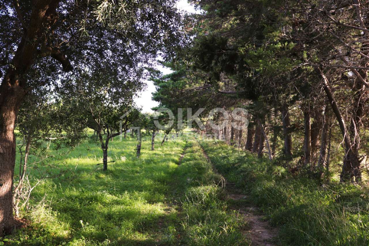 Terreno Agricolo in vendita a Noto, Casale