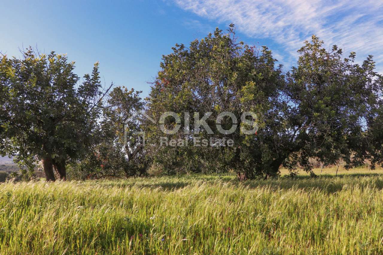 Terreno Agricolo in vendita a Noto, Casale