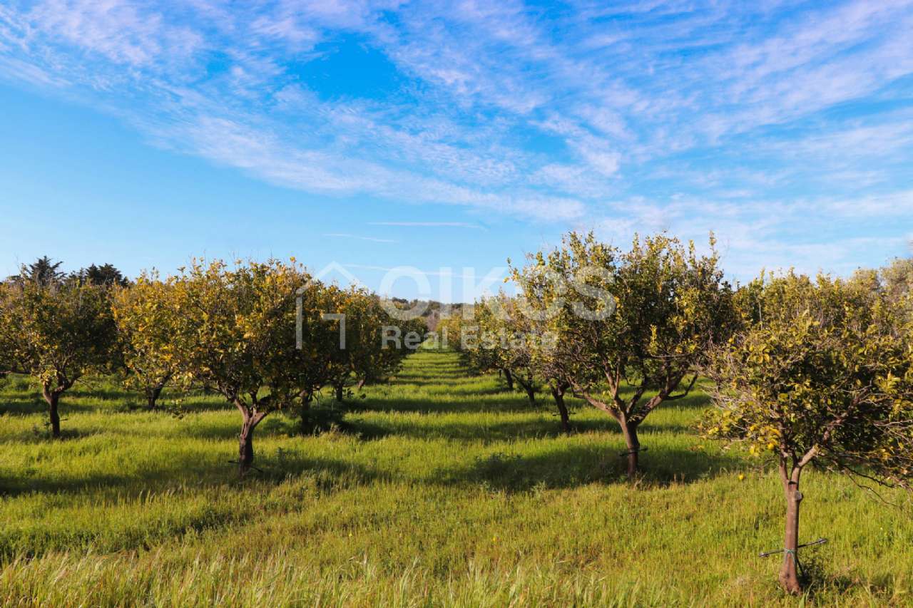 Terreno Agricolo in vendita a Noto, Casale