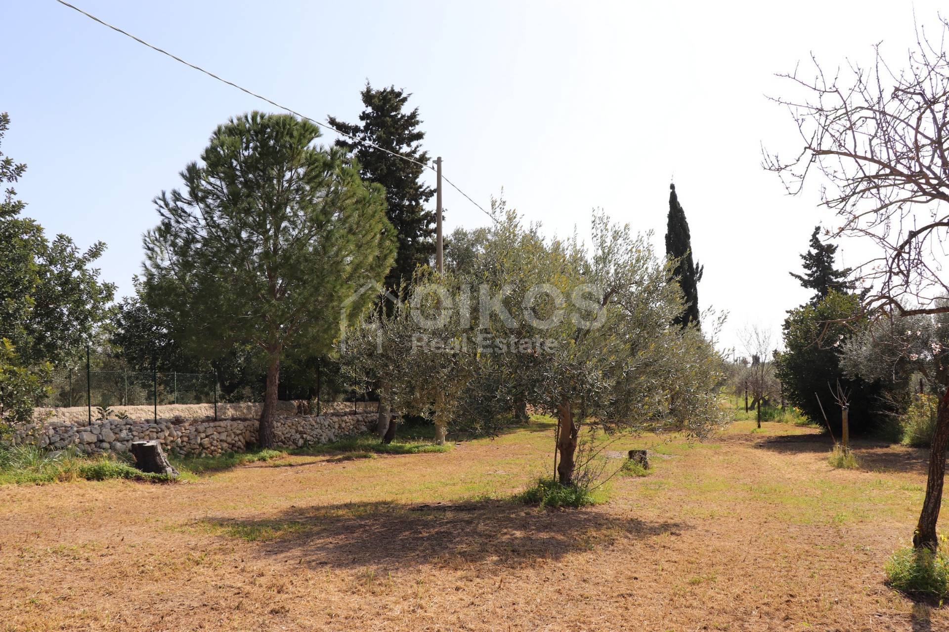 Terreno Agricolo in vendita a Noto, C.da Volpiglia