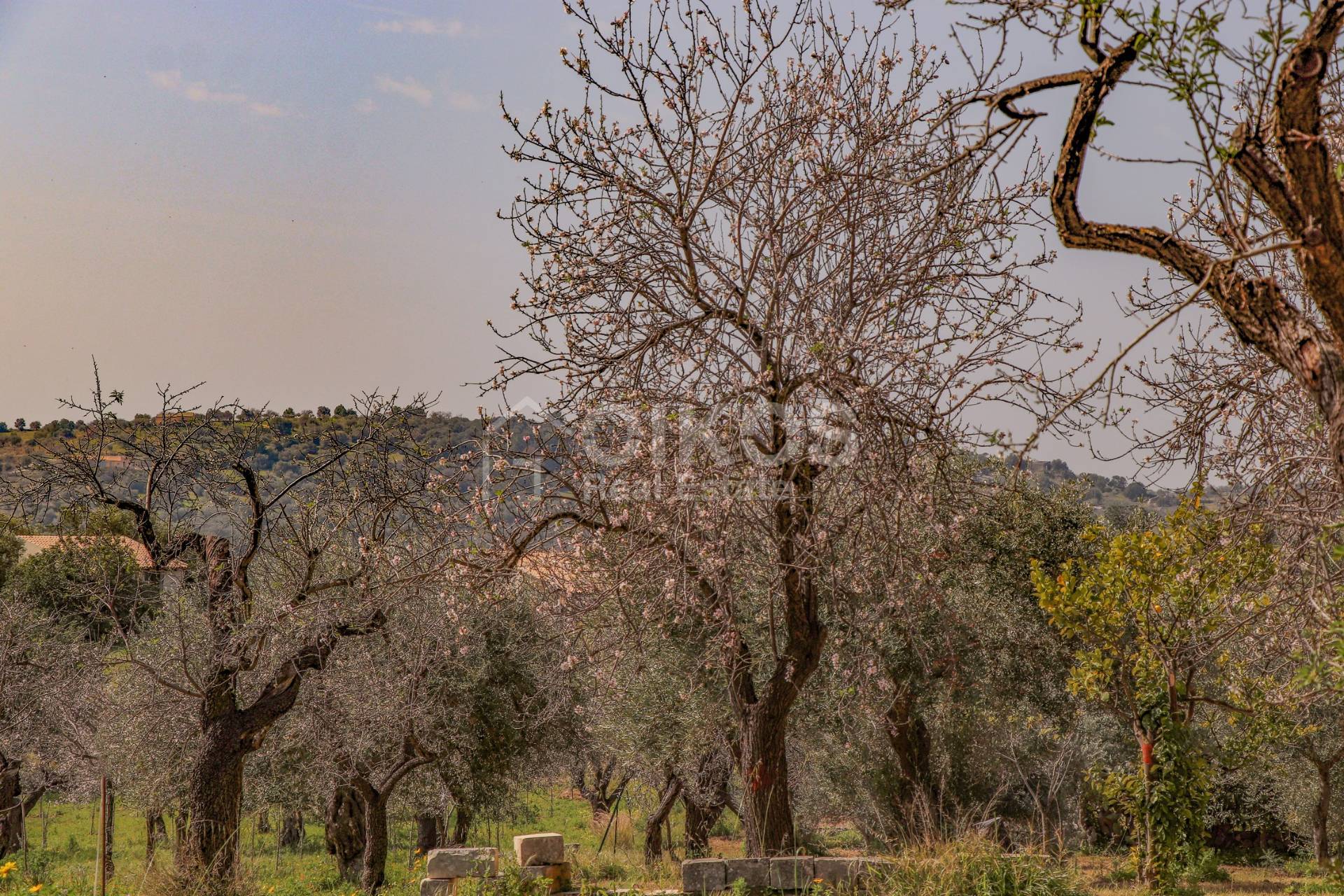 Terreno Agricolo in vendita a Noto, C.da Volpiglia
