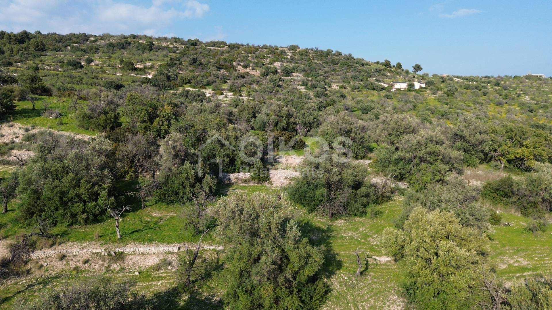 Terreno Agricolo in vendita a Noto, C.da Zisola