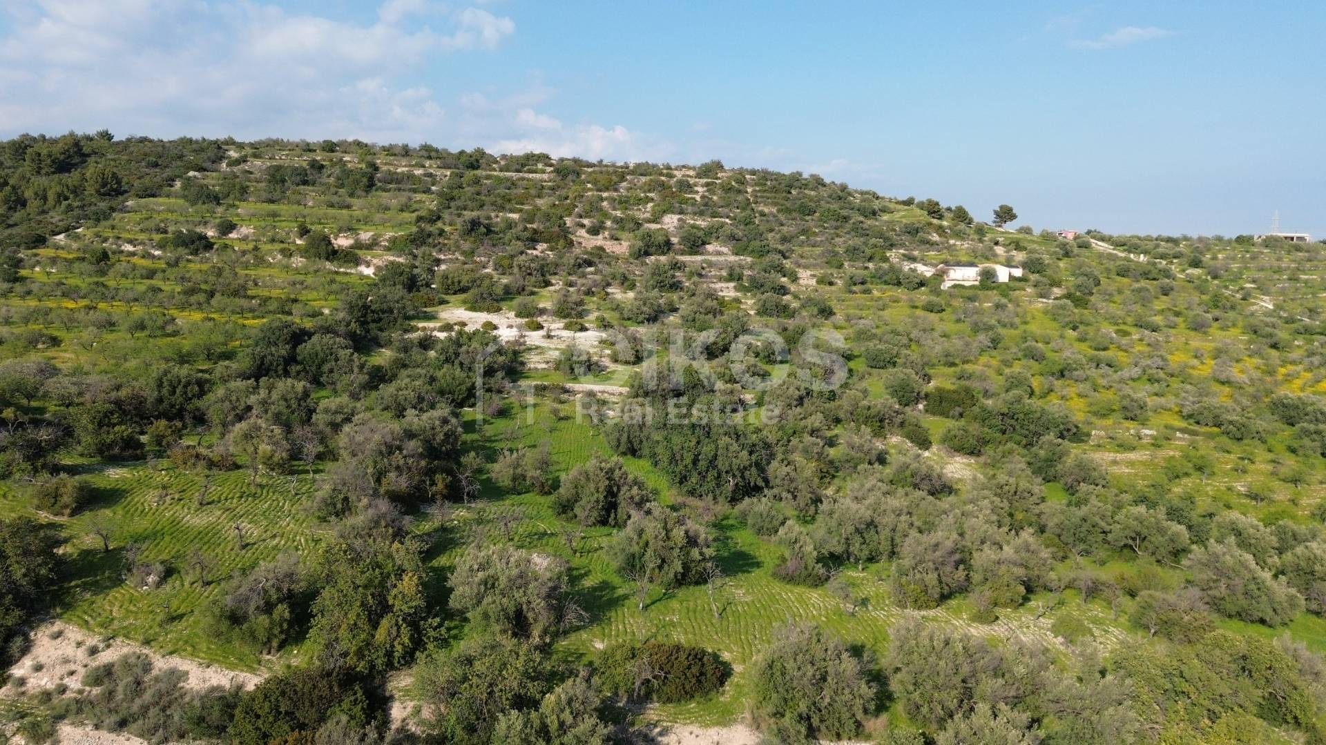 Terreno Agricolo in vendita a Noto, C.da Zisola