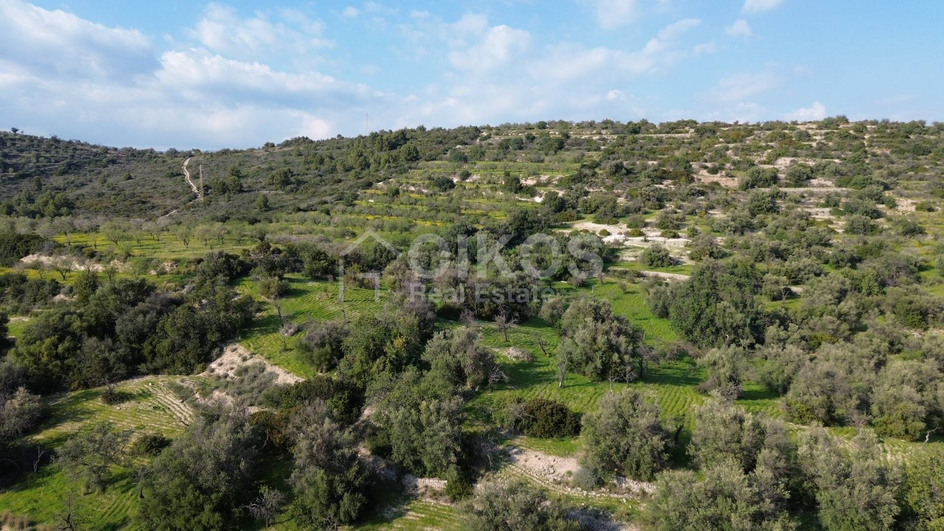 Terreno Agricolo in vendita a Noto, C.da Zisola