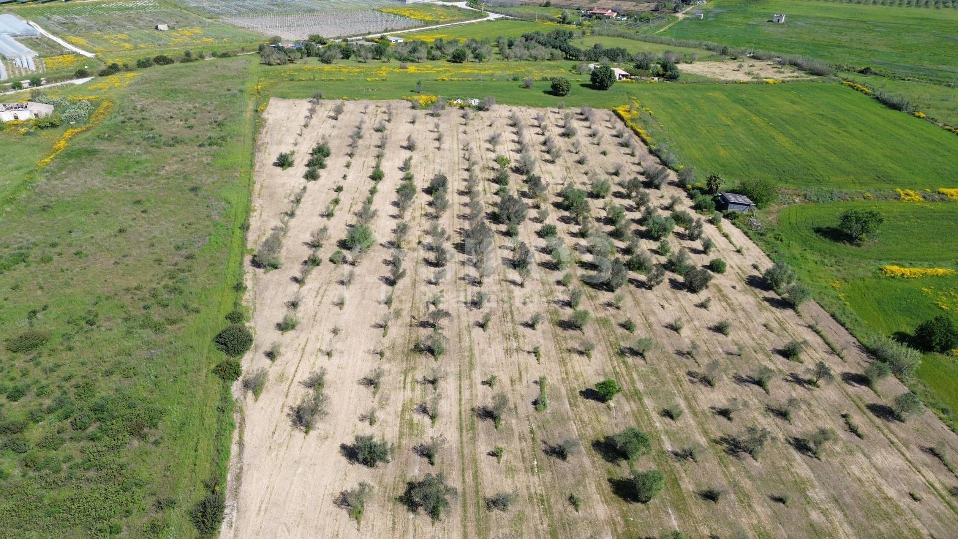 Casale in vendita a Noto, Contrada San Lorenzo