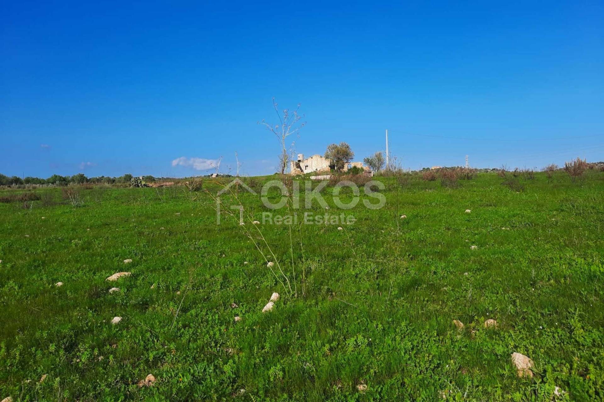 Terreno Agricolo in vendita a Noto, C.da Saccolino