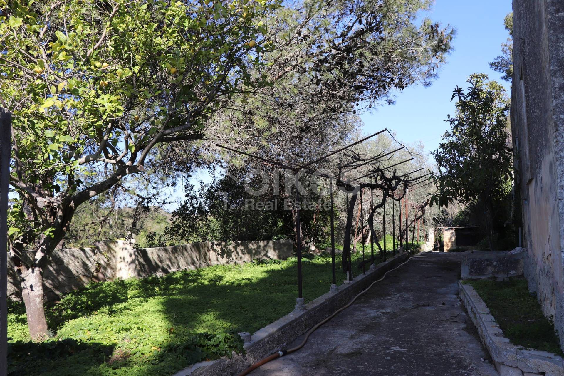 Terreno Agricolo in vendita a Noto, Villa Vela