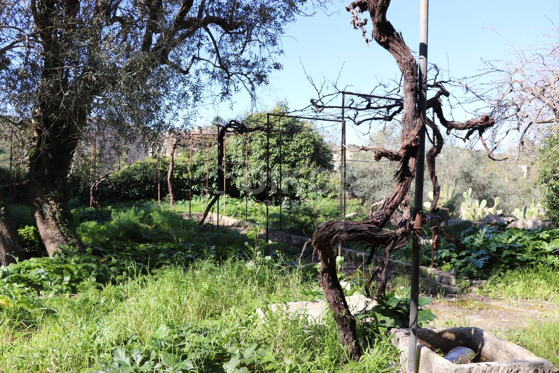 Terreno Agricolo in vendita a Noto, Villa Vela