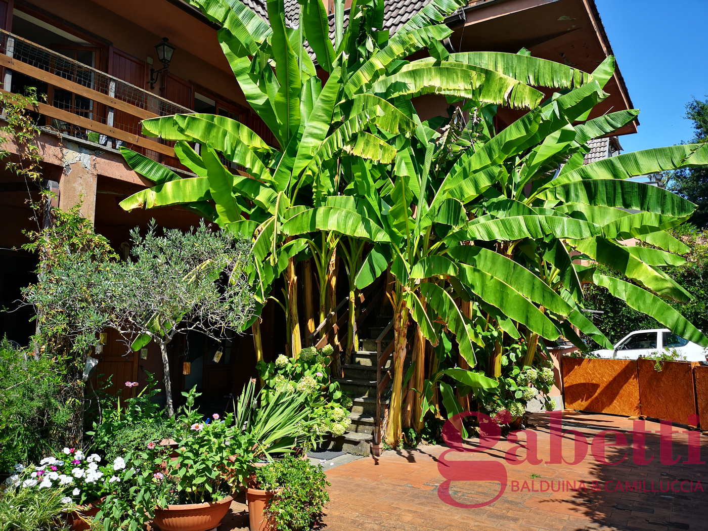 Villa con giardino a Formello