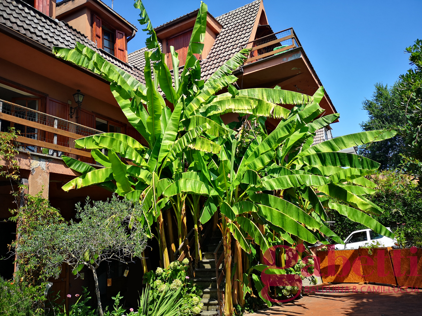 Villa con giardino a Formello