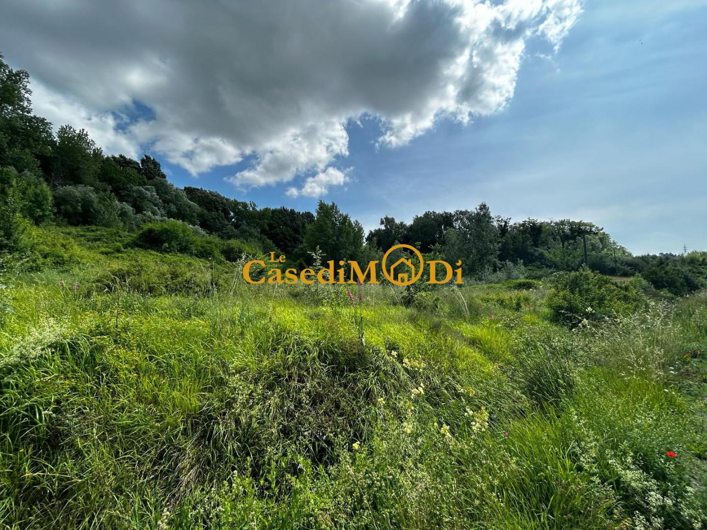 Terreno Agricolo in vendita, Fauglia acciaiolo