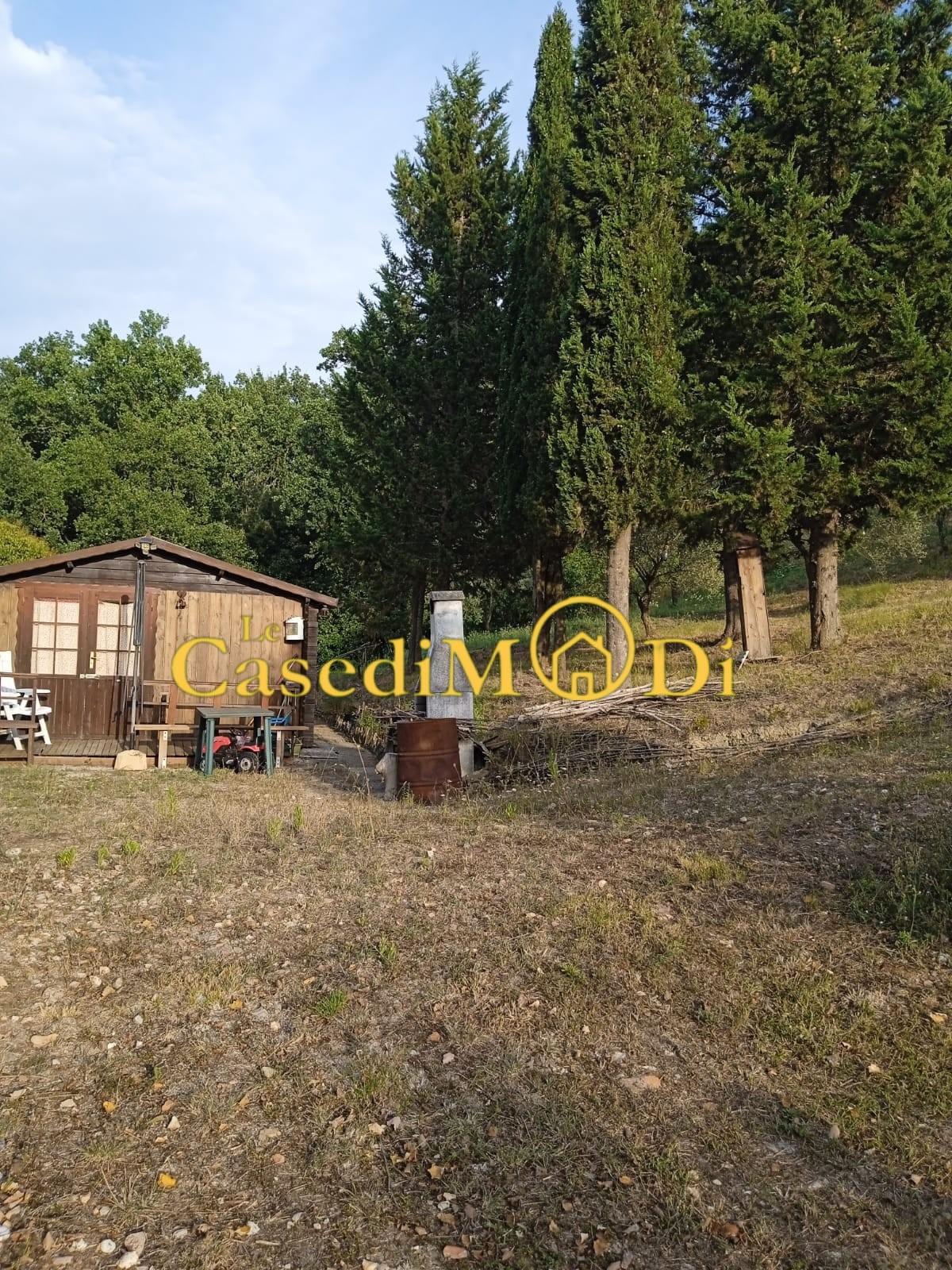 Terreno Agricolo in vendita a Collesalvetti