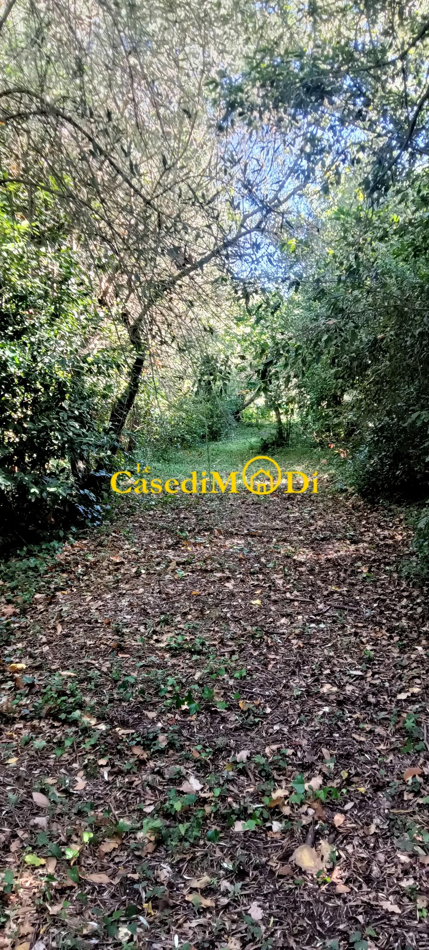 Terreno Agricolo in vendita, Livorno montenero