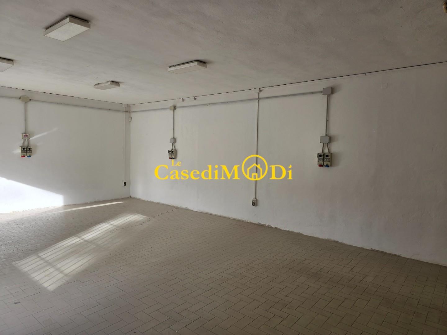 Locale commerciale in vendita, Collesalvetti stagno