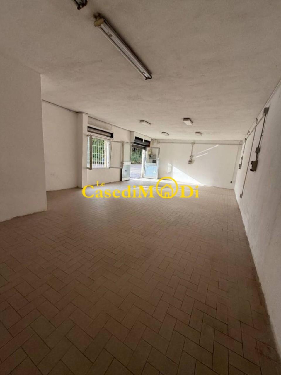 Locale commerciale in vendita, Collesalvetti stagno