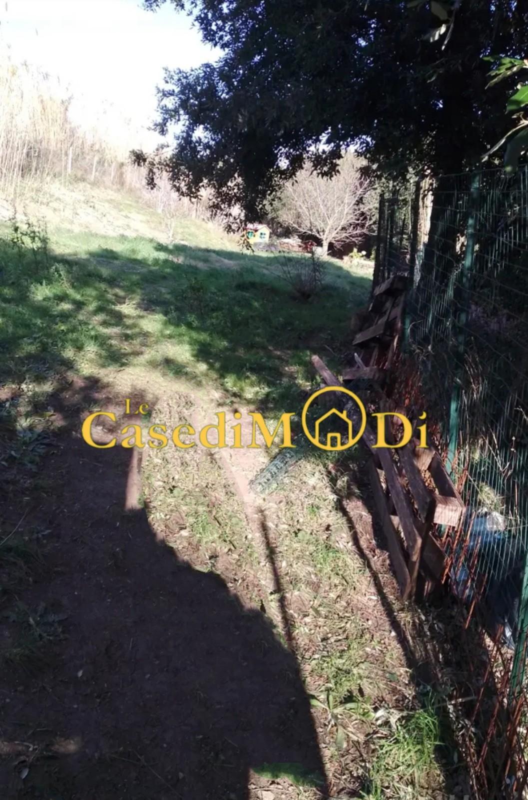 Terreno Agricolo in vendita, Livorno castellaccio