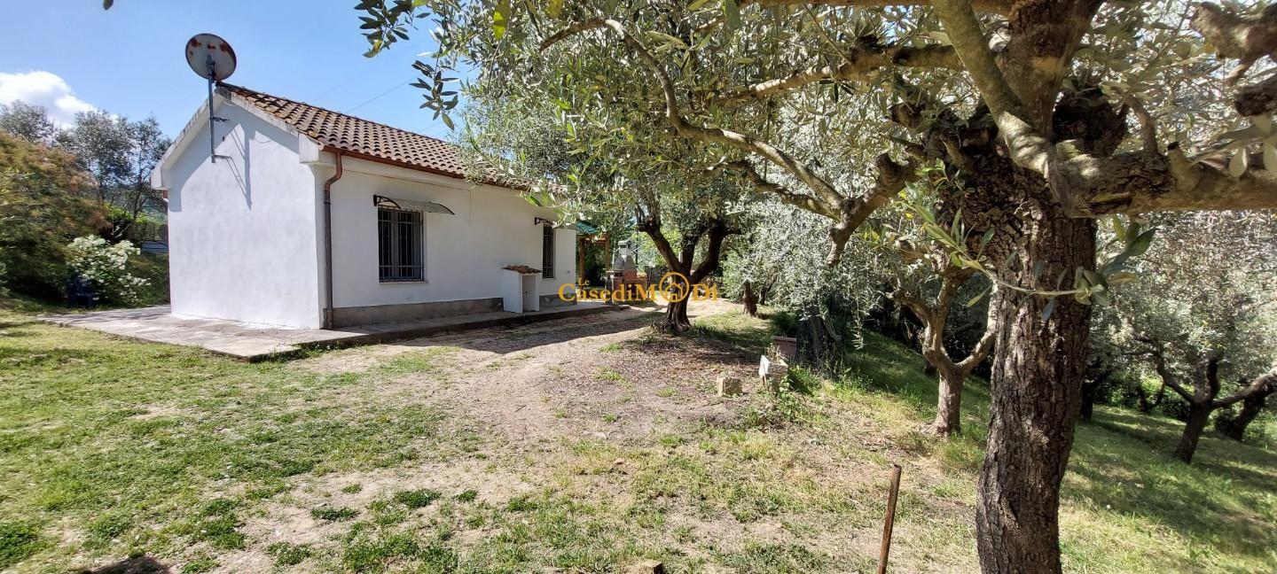Terreno Agricolo vista mare, Livorno limoncino
