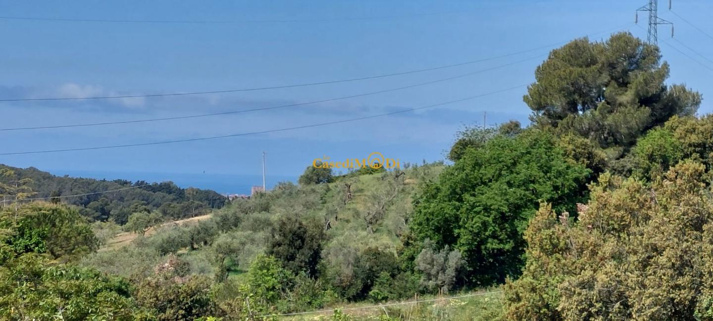 Terreno Agricolo vista mare, Livorno limoncino