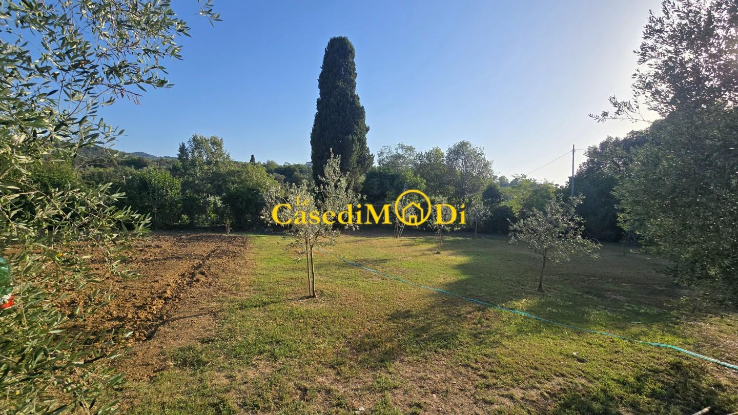 Terreno Agricolo in vendita, Livorno collinaia