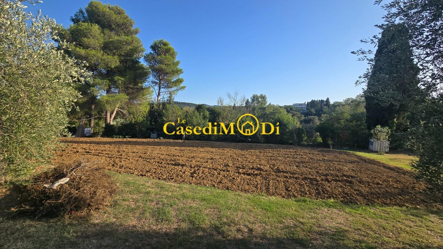 Terreno Agricolo in vendita, Livorno collinaia