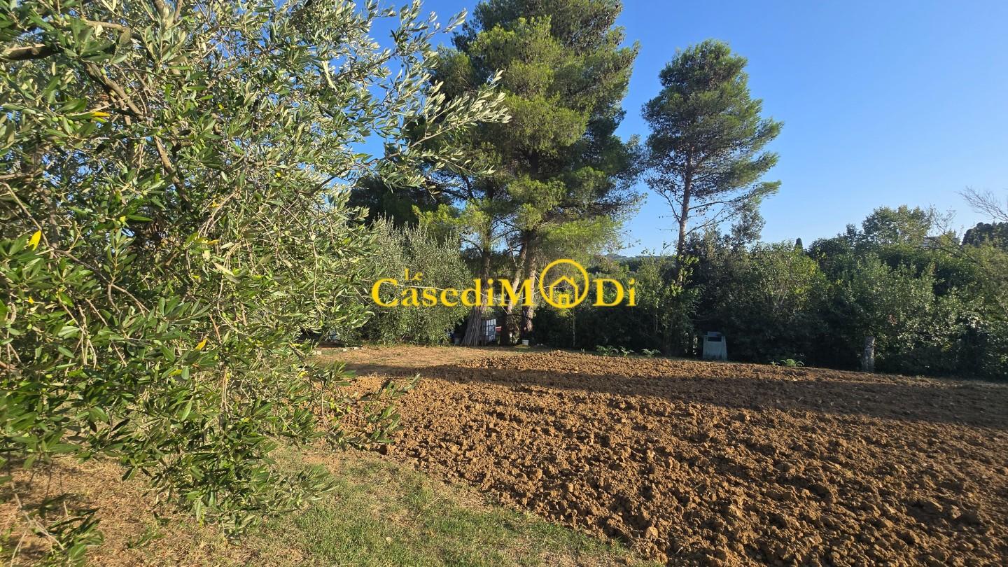 Terreno Agricolo in vendita, Livorno collinaia