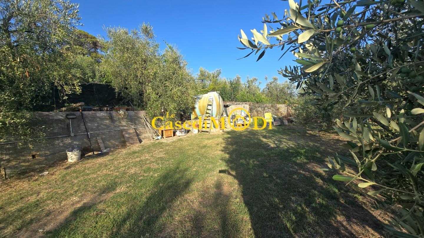 Terreno Agricolo in vendita, Livorno collinaia