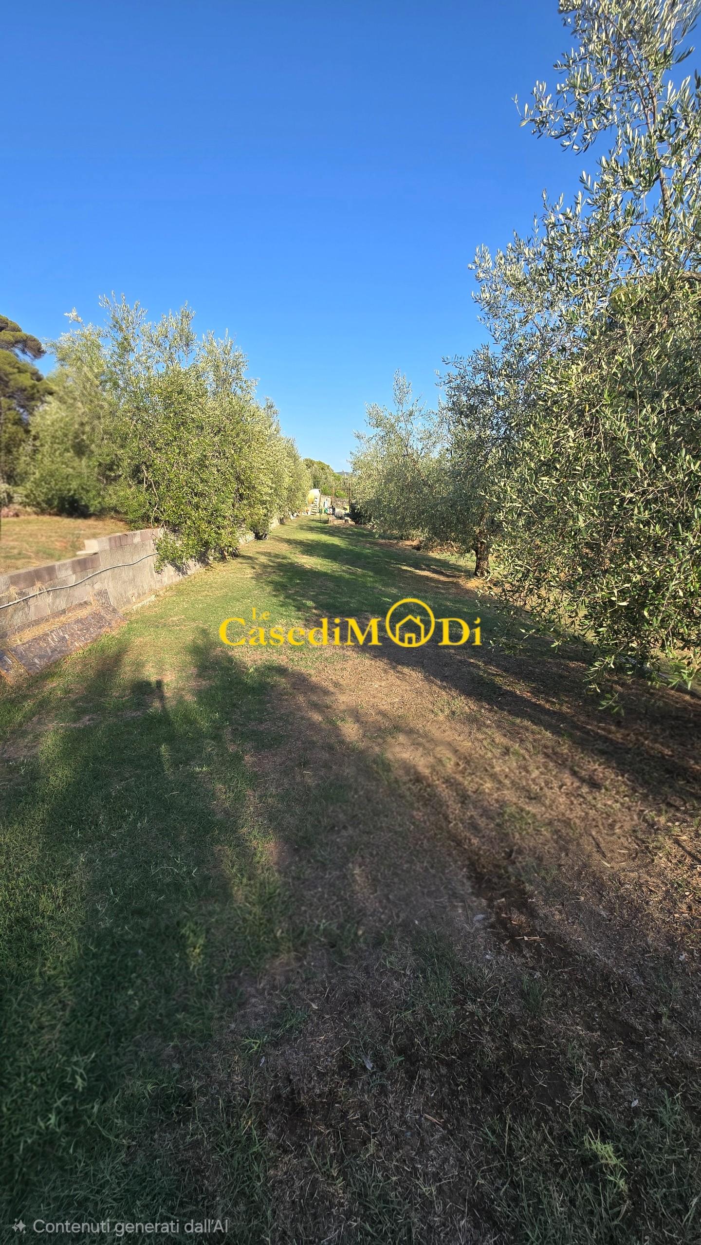 Terreno Agricolo in vendita, Livorno collinaia
