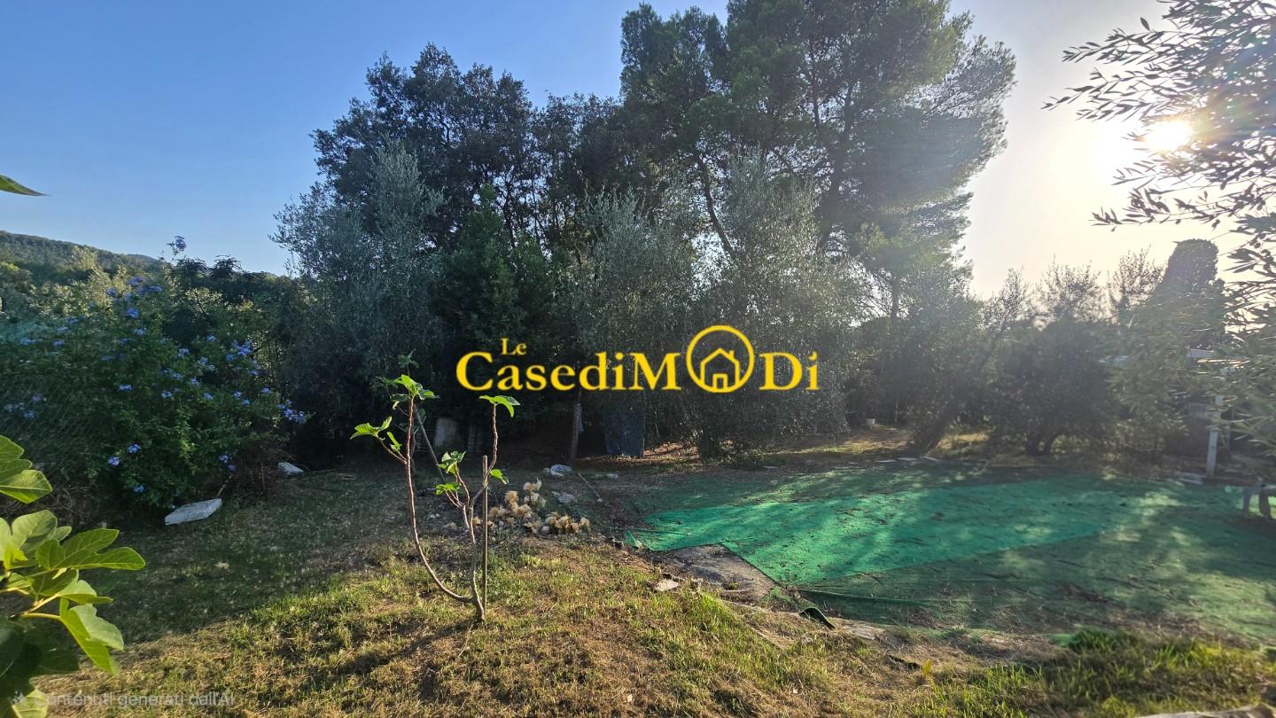 Terreno Agricolo in vendita, Livorno collinaia