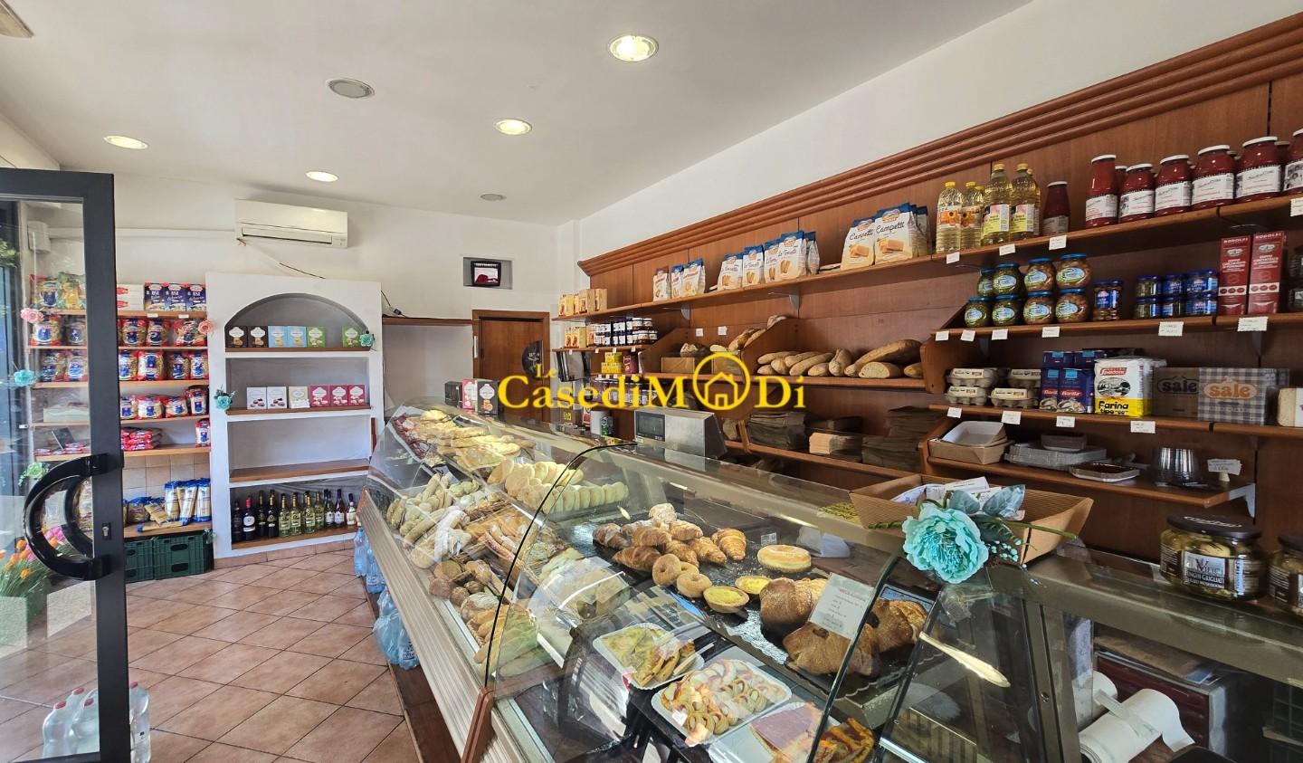 Attivit� commerciale in vendita, Livorno colline