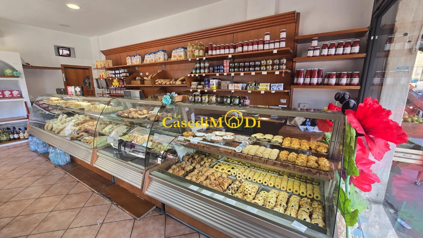 Attivit� commerciale in vendita, Livorno colline