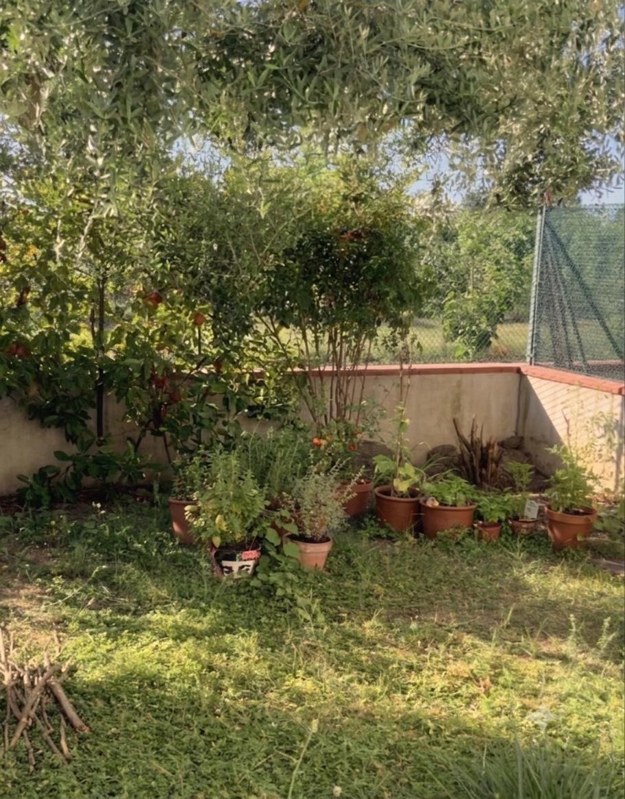 Quadrilocale con giardino a Empoli