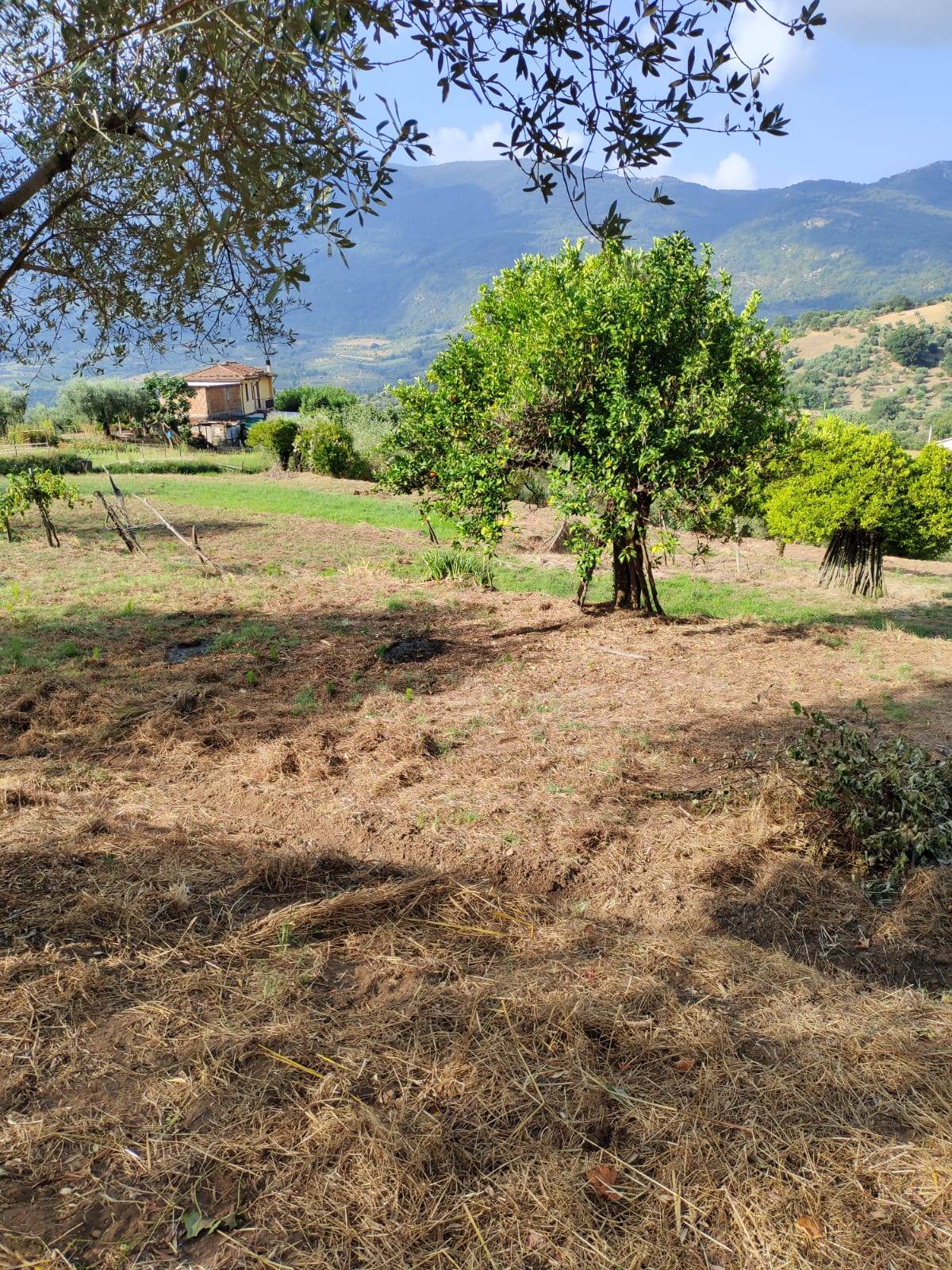 Terreno Agricolo in vendita a Castel San Lorenzo