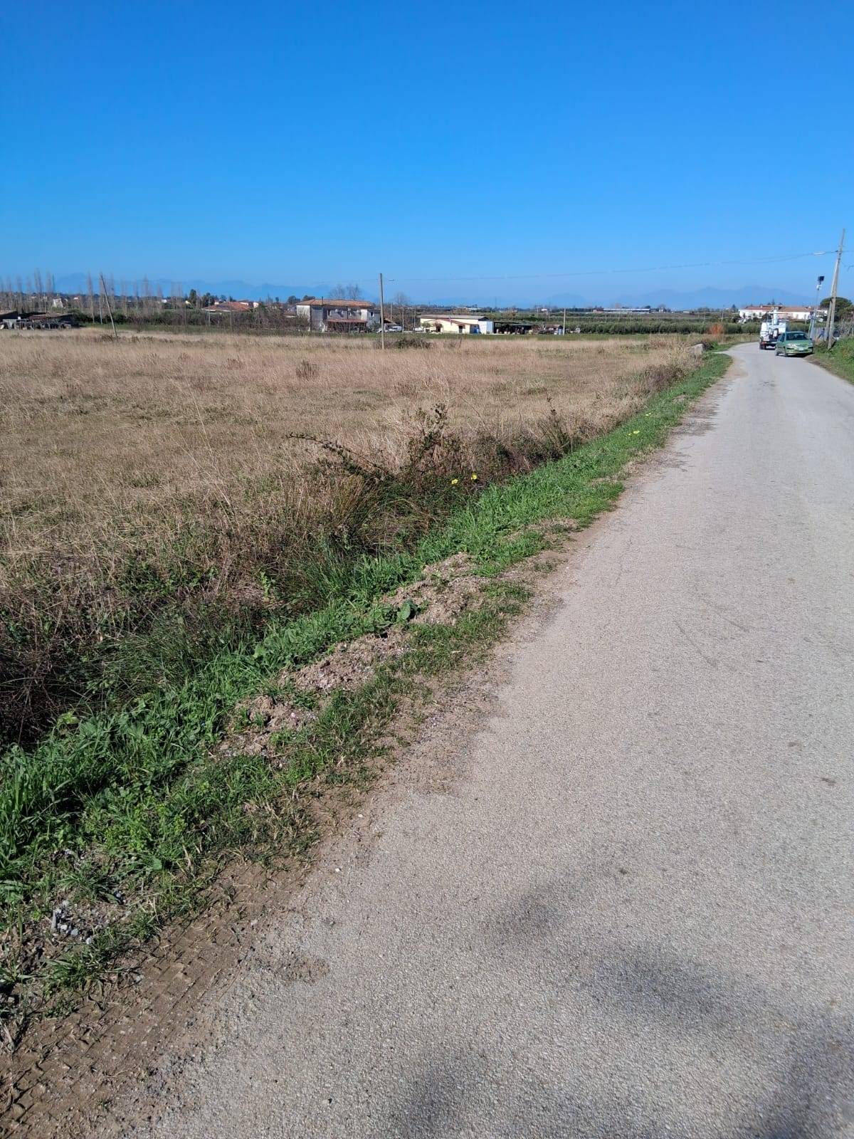 immagine annuncio 1 di 2