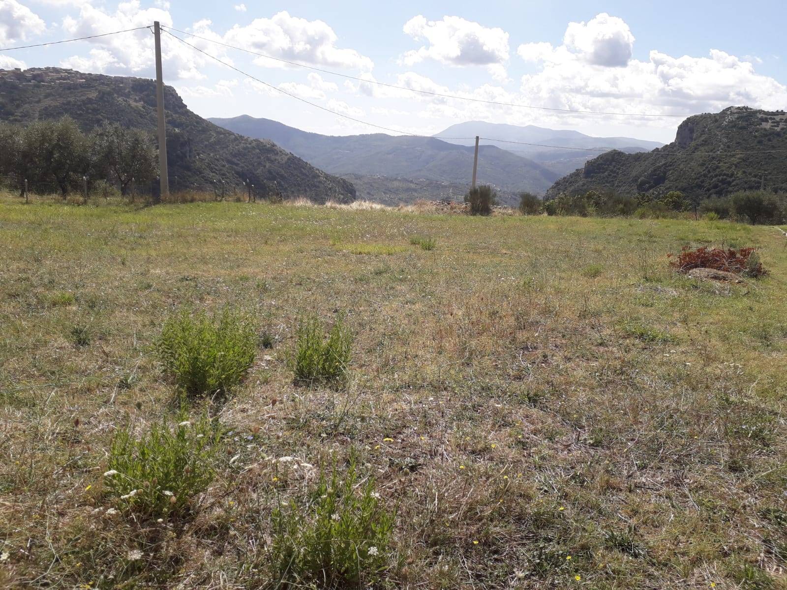 Terreno Agricolo in vendita a Capaccio Paestum