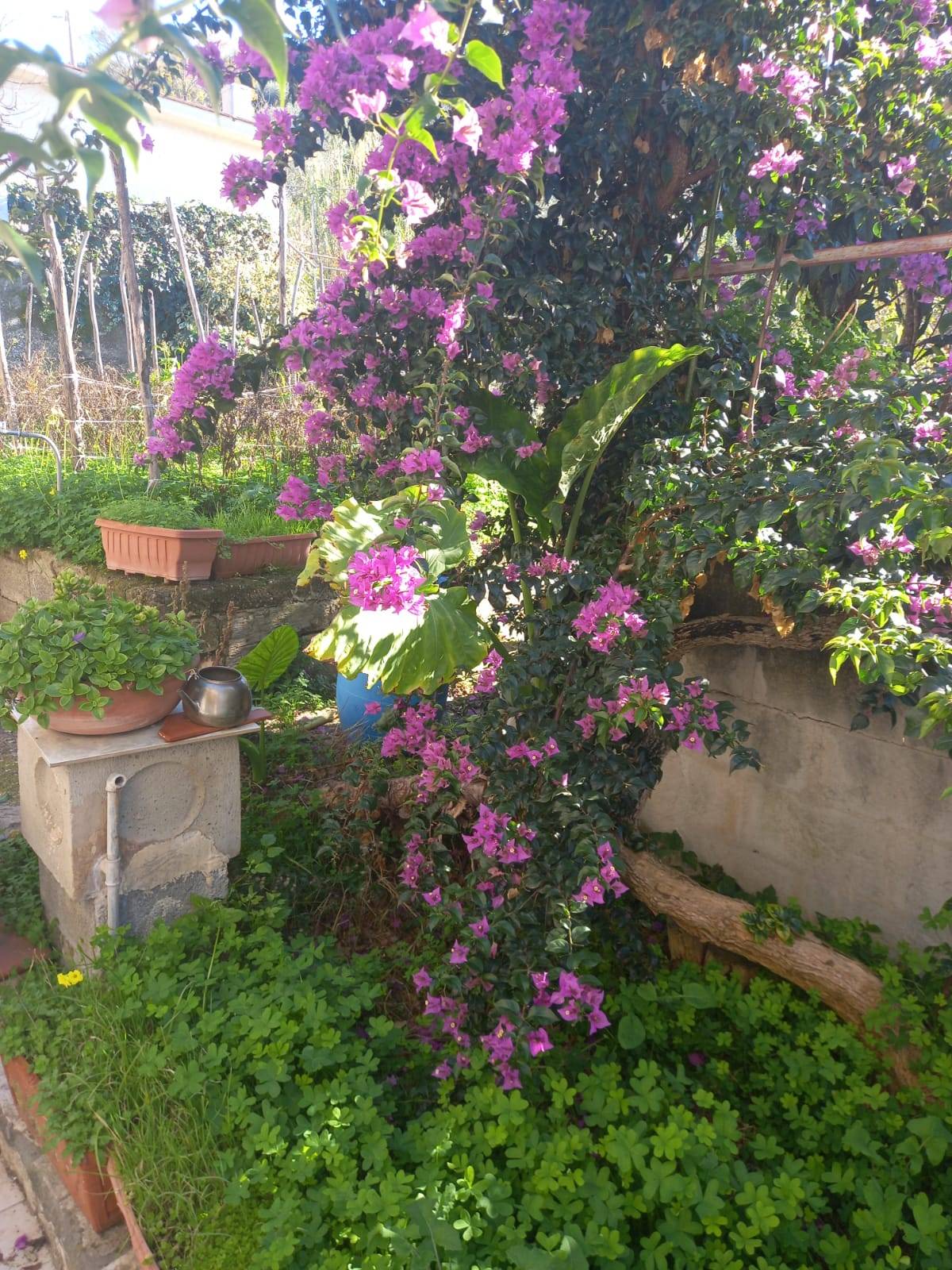 Villa Singola in vendita a Agropoli