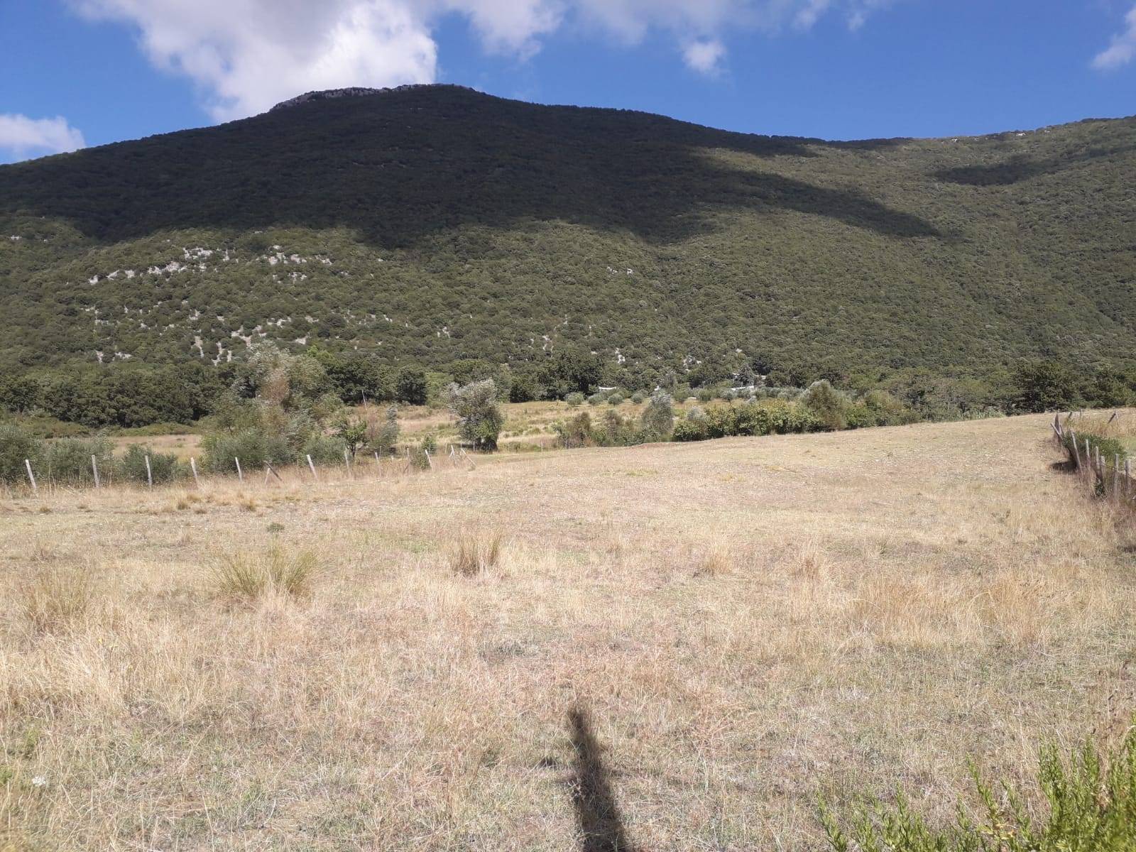 Terreno Agricolo in vendita a Capaccio Paestum